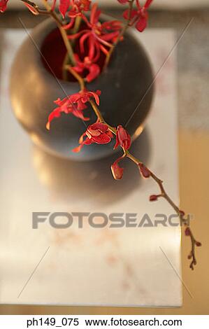 High angle view of flowers in a vase View Large Photo Image Stock Photography - High angle view of flowers in a vase. Fotosearch