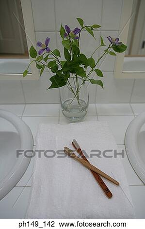 High angle view of two toothbrushes with a flower in a glass in the bathroom View Large Photo Image Stock Image - High angle view of two toothbrushes with a flower in a glass in the bathroom. Fotosearch