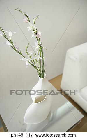 High angle view of white lilies in a flower vase View Large Photo Image Stock Photo - High angle view of white lilies in a flower vase. Fotosearch
