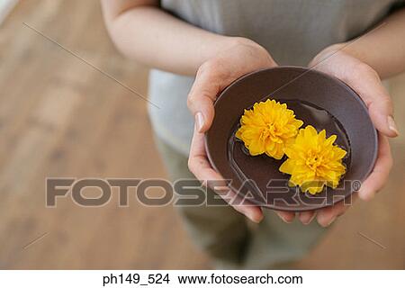 Mid section view of a woman holding a bowl with flowers View Large Photo Image Picture - Mid section view of a woman holding a bowl with flowers. Fotosearch