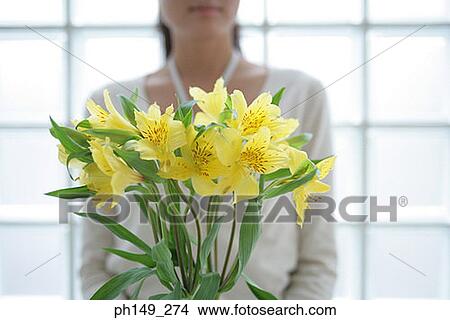 Mid section view of a woman holding flowers View Large Photo Image Picture - Mid section view of a woman holding flowers. Fotosearch