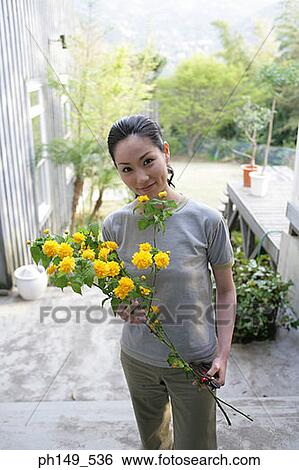 Portrait of a young woman holding flowers View Large Photo Image Stock Photograph - Portrait of a young woman holding flowers. Fotosearch