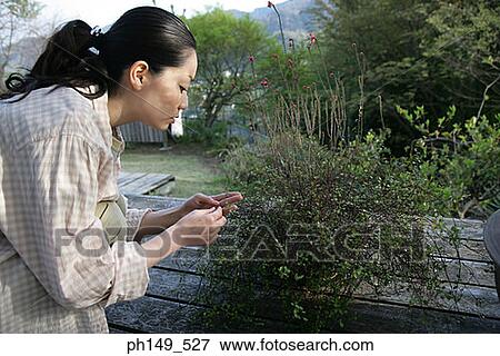 Stock Photo - Side profile of a young woman gardening. Fotosearch