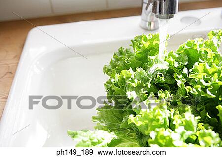 Water falling on parsley View Large Photo Image Stock Photo - Water falling on parsley. Fotosearch