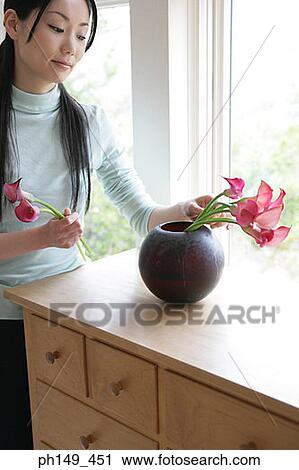 Young woman putting flowers in a flower vase View Large Photo Image Stock Image - Young woman putting flowers in a flower vase. Fotosearch