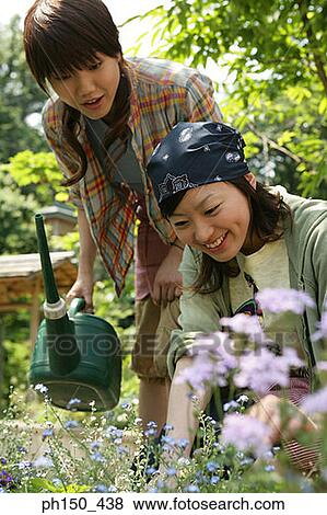 Two young women working in a plant nursery View Large Photo Image Stock Photo - Two young women working in a plant nursery. Fotosearch