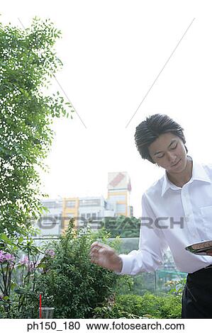 Waiter holding a serving tray and picking up a glass View Large Photo Image Stock Image - Waiter holding a serving tray and picking up a glass. Fotosearch