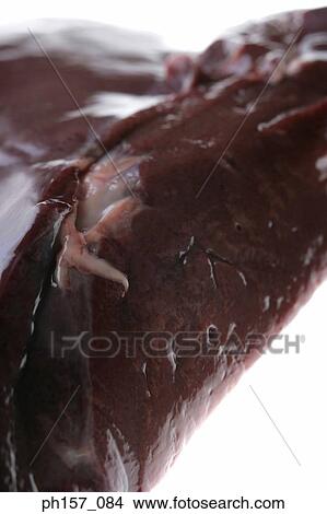 Animal Liver, close-up View Large Photo Image Picture - Animal Liver, close-up. Fotosearch
