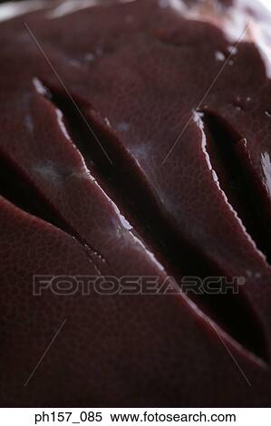 Stock Photography - Animal Liver, close-up. Fotosearch