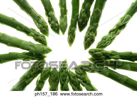 Asparagus View Large Photo Image Stock Photograph - Asparagus. Fotosearch