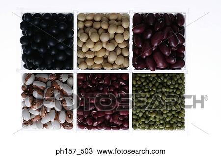 Assortment of beans and nuts, top view View Large Photo Image Stock Image - Assortment of beans and nuts, top view. Fotosearch
