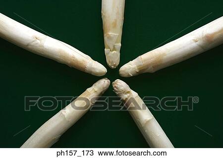 Stock Image - Bamboo shoots, close-up. Fotosearch