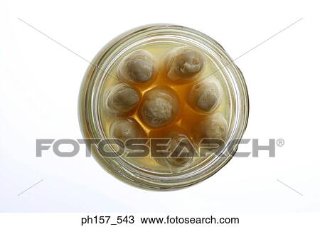Bamboo shoots in a glass container, close-up View Large Photo Image Stock Image - Bamboo shoots in a glass container, close-up. Fotosearch
