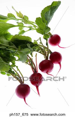 Beetroot View Large Photo Image Stock Photography - Beetroot. Fotosearch