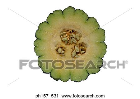 Bitter melon, cross section View Large Photo Image Stock Image - Bitter melon, cross section. Fotosearch