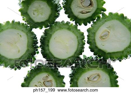 Stock Photo - Bitter melon, cross section. Fotosearch