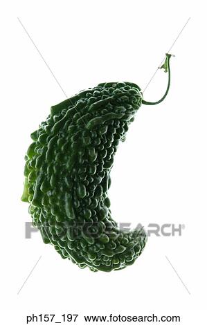 Bitter melon View Large Photo Image Stock Photo - Bitter melon. Fotosearch