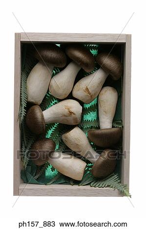 Box of mushroom with leaves, top view View Large Photo Image Stock Image - Box of mushroom with leaves, top view. Fotosearch