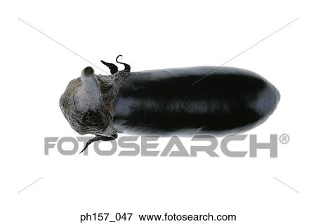 Brinjal View Large Photo Image Stock Photo - Brinjal. Fotosearch