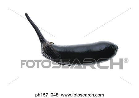 Brinjal View Large Photo Image Stock Photo - Brinjal. Fotosearch