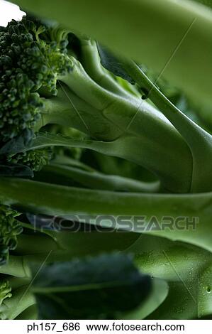 Stock Photograph - Broccoli, close-up. Fotosearch