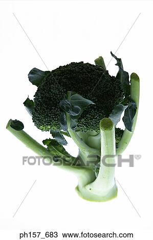 Broccoli View Large Photo Image Stock Image - Broccoli. Fotosearch
