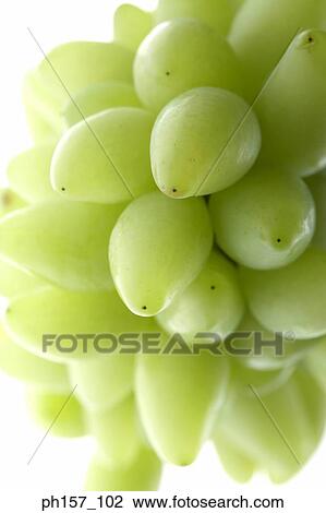 Bunch of white grapes, close-up View Large Photo Image Stock Image - Bunch of white grapes, close-up. Fotosearch