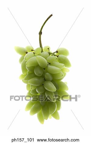Stock Image - Bunch of white grapes. Fotosearch
