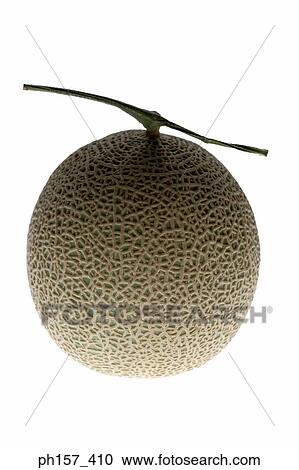 Cantaloupe View Large Photo Image Stock Image - Cantaloupe. Fotosearch