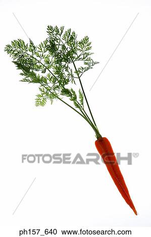 Carrot View Large Photo Image Stock Image - Carrot. Fotosearch
