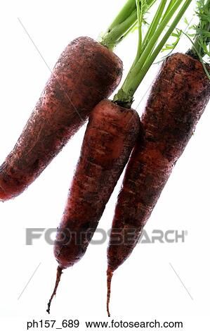 Carrots View Large Photo Image Stock Photo - Carrots. Fotosearch