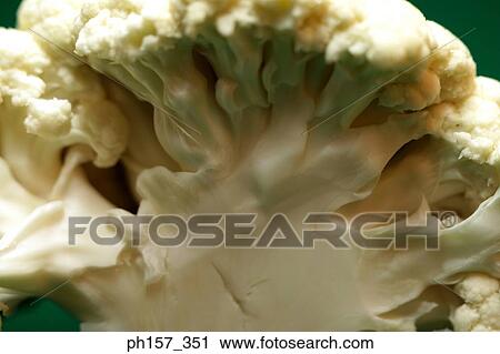Cauliflower, close-up View Large Photo Image Stock Image - Cauliflower, close-up. Fotosearch