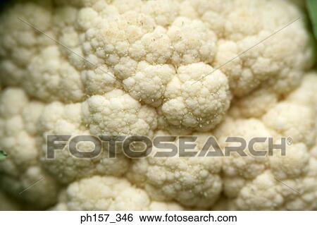 Stock Photograph - Cauliflowers, close-up. Fotosearch