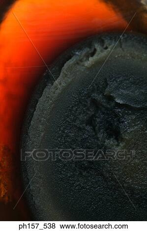 Stock Photo - Century egg, close-up. Fotosearch