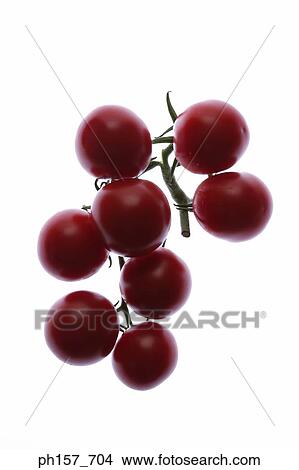 Cherry tomatoes View Large Photo Image Picture - Cherry tomatoes. Fotosearch
