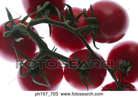 Stock Image - Cherry tomatoes. Fotosearch