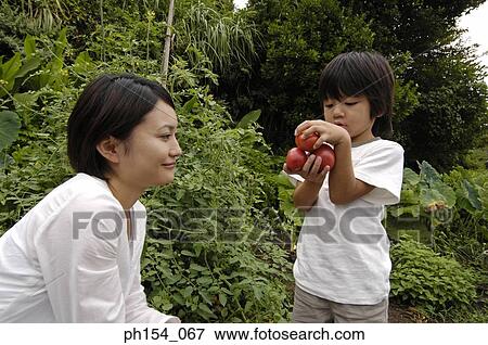 Close-up of a mid adult woman smiling with her daughter holding apples View Large Photo Image Stock Photo - Close-up of a mid adult woman smiling with her daughter holding apples. Fotosearch