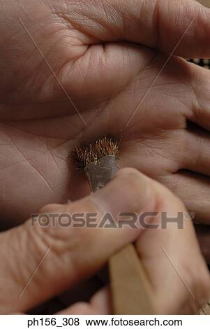 Close-up of a person's hand holding a paintbrush View Large Photo Image Stock Photo - Close-up of a person's hand holding a paintbrush. Fotosearch