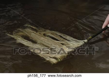 Stock Photo - Close-up of a person's hand holding dripping animal hide into water with a stick. Fotosearch