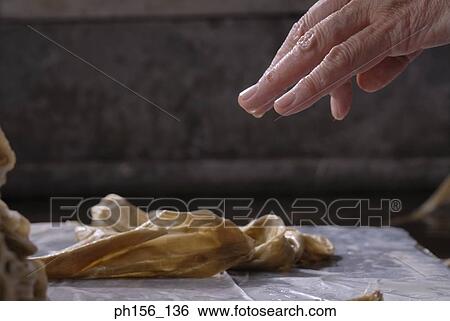 Close-up of a person's hand over animal hide View Large Photo Image Stock Photograph - Close-up of a person's hand over animal hide. Fotosearch