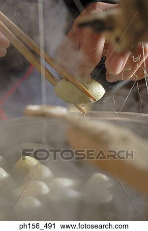 Stock Image - Close-up of a person's hand pulling silk threads from silk cocoons. Fotosearch