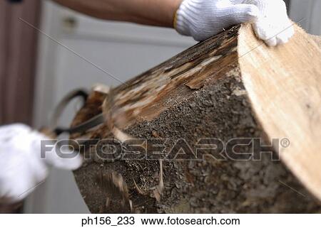 Close-up of a person's hand shaving bark from a log View Large Photo Image Stock Image - Close-up of a person's hand shaving bark from a log. Fotosearch