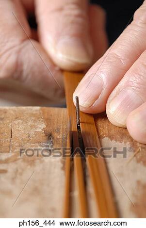 Picture - Close-up of a person's hands dividing a wooden stick. Fotosearch