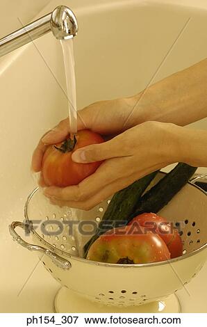 Close-up of a person's hands washing vegetables View Large Photo Image Stock Photo - Close-up of a person's hands washing vegetables. Fotosearch