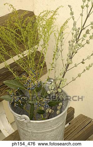 Close-up of a potted plant on a bench View Large Photo Image Stock Photograph - Close-up of a potted plant on a bench. Fotosearch