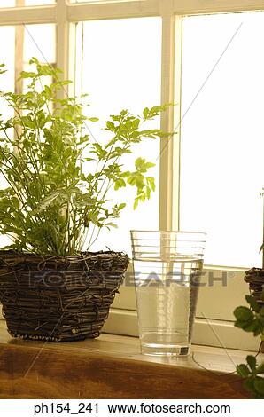 Close-up of a potted plant with a glass on a window sill View Large Photo Image Stock Image - Close-up of a potted plant with a glass on a window sill. Fotosearch