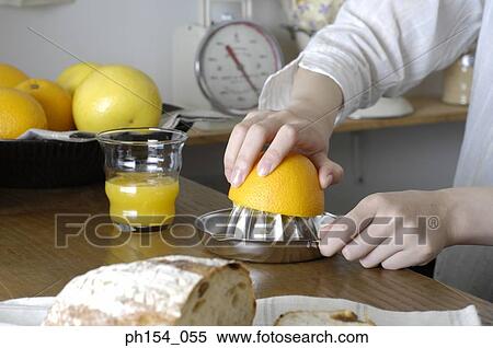 Close-up of a woman's hand squeezing an orange on a juicer View Large Photo Image Stock Photography - Close-up of a woman's hand squeezing an orange on a juicer. Fotosearch