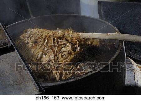Close-up of animal hide boiling in a container View Large Photo Image Stock Image - Close-up of animal hide boiling in a container. Fotosearch