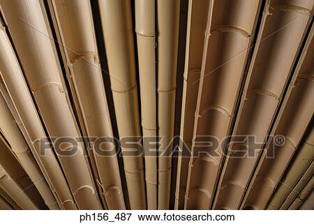 Close-up of bamboos View Large Photo Image Stock Photo - Close-up of bamboos. Fotosearch