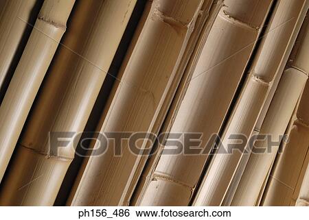 Stock Photograph - Close-up of bamboos. Fotosearch